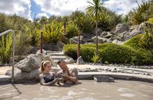Hell's Gate Mud Spa & Thermal Park Group Day Tour from Auckland