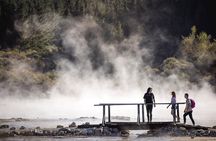 Hell's Gate Mud Spa & Thermal Park Group Day Tour from Auckland