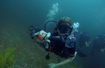 Scuba Diving Adventure in Musandam, Oman