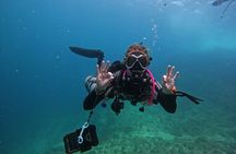 Scuba Diving Adventure in Musandam, Oman