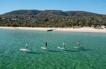 Ultimate Peninsula Adventure: Stand Up Paddle, Hot Springs, Hike, Lunch & Winery