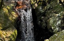 Experience Bach Ma Trekking Tour from Da Nang