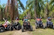 Penang: ATV Ride in Balik Pulau with Snacks and Transfers