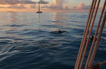 Classic Key West Schooner Sunset Sail with Full Open Bar