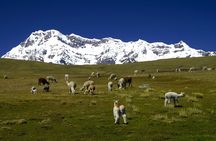 4 Days Ausangate Trek with Rainbow Mountain 