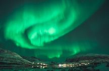 Northern Lights Tour in Tromso 