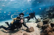 Try Scuba Diving | 1 dive