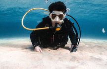 Try Scuba Diving | 1 dive