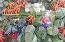 2 Nights Stay in Tanna including Accommodation, meals & transfers