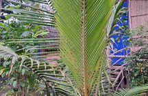 2 Nights Stay in Tanna including Accommodation, meals & transfers