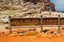 Full-Day Penguins & Cape Point with Table Mountain Cable Car