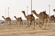 West Of Qatar Richard Serra sculpture, Mushroom Hills,Camel track