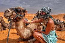 From Djerba: Explore the desert in a day