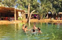 From Djerba: Explore the desert in a day