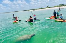 Dolphin, Manatee and Sea Turtle Adventure Tour of Bonita Springs