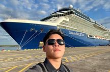 Vung Tau City Sightseeing Shore Excursion Tour From Phu My Port