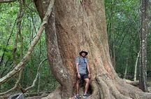 Cat Tien National Park 2-Day Tour: Biking, Trekking, Safari Night