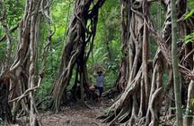 Cat Tien National Park 2-Day Tour: Biking, Trekking, Safari Night