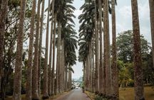Explore Aburi Botanical Gardens And Boti Falls
