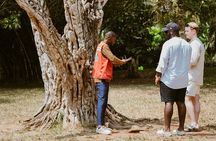 Explore Aburi Botanical Gardens And Boti Falls
