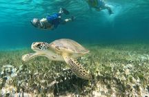 Private Jeep Tour & ATV to Jade Cavern Cenote: All Inclusive