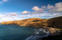 1/2-day Christchurch Scenic Highlights (Private Tour)