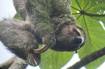 Manuel Antonio National Park *Group tour/Park ticket NOT included