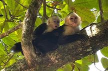 Manuel Antonio National Park *Group tour/Park ticket NOT included