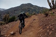 Mountain Bike Experience from Chile