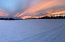 Dog Sledding with Alaskan Huskies