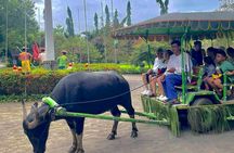 A Day in Paradise at Villa Escudero Coconut Plantation Adventure