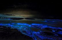 Grand Cayman Bioluminescent Bay Tour 