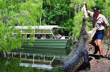  Hartley Crocodile Park with Kuranda, Skyrail Cableway and Train 