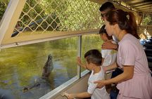  Hartley Crocodile Park with Kuranda, Skyrail Cableway and Train 