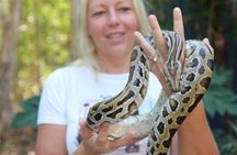  Hartley Crocodile Park with Kuranda, Skyrail Cableway and Train 
