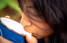 Whirinaki Forest Footsteps: Māori Guided Tour, Picnic & Transfer