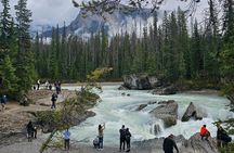 Full Day Private Tour Banff/Yoho Customized Sightseeing