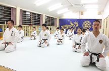 Tokyo Karate Experience (Family Friendly) with Karate Champion