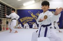 Tokyo Karate Experience (Family Friendly) with Karate Champion