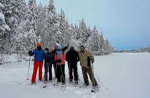 Levi: Lakeside forest snowshoeing