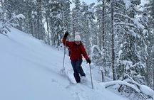Levi: Lakeside forest snowshoeing