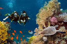 Intro Scuba Diving For Beginners With Lunch in Hurghada