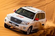 Dubai Private Safari