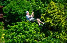 Koh Phangan Zipline Adventure with Wang Sai Waterfall View