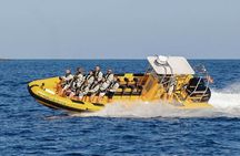 Dolphin Watching and Bathing in Papagayo Lanzarote Beach 
