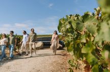 Half Day Wine Tour Around Evora