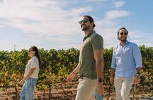 Half Day Wine Tour Around Evora
