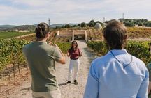 Half Day Wine Tour Around Evora