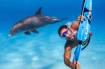 Private Speed boat to Orange Bay & Snorkeling W/Transfer-Hurghada