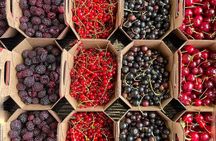 Guided Tour and Tastings at Jean-Talon Market with a Food Writer